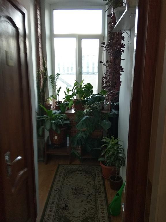 Мини-отель Дворянское Гнездо на Сухаревке  Москва