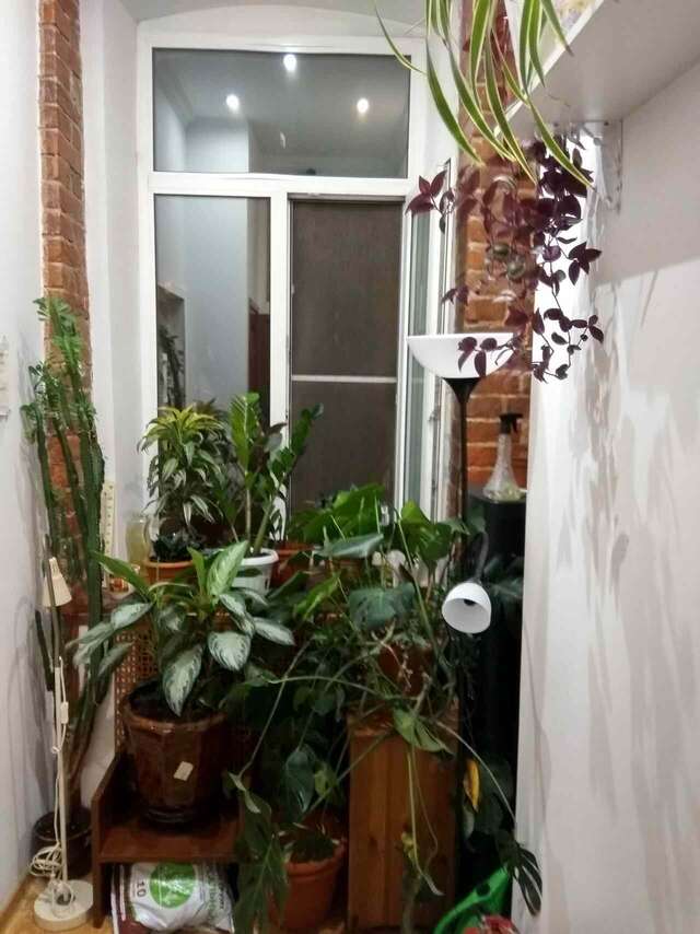 Гостевой дом Мебелерованые комнаты на Сухаревке Москва-13