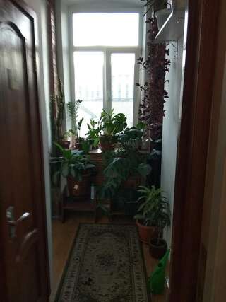 Мини-отель Дворянское Гнездо на Сухаревке  Москва Улучшенный семейный  номер с балконом-5